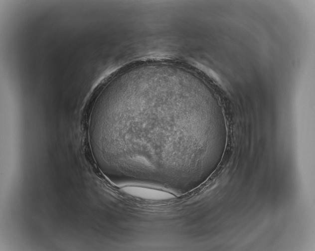 X0000112831160200908281526