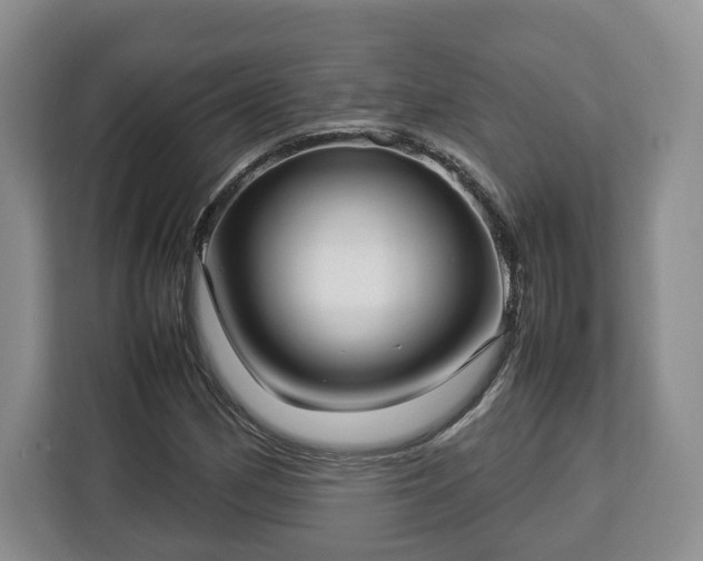 X0000112831162200908281526