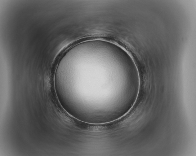 X0000112831163200908281526