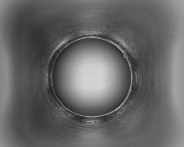 X0000112831165200908281526