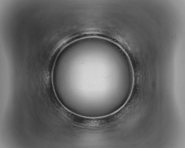 X0000112831167200908281526