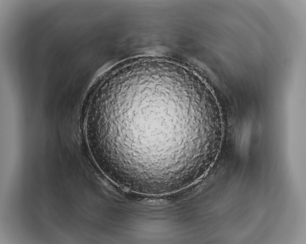 X0000112831168200908281526