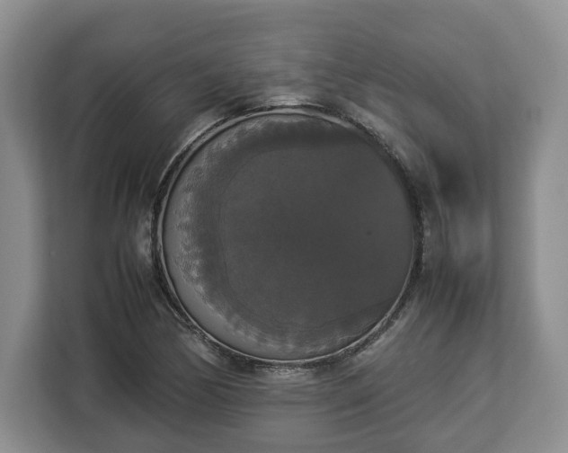 X0000112831170200908281526