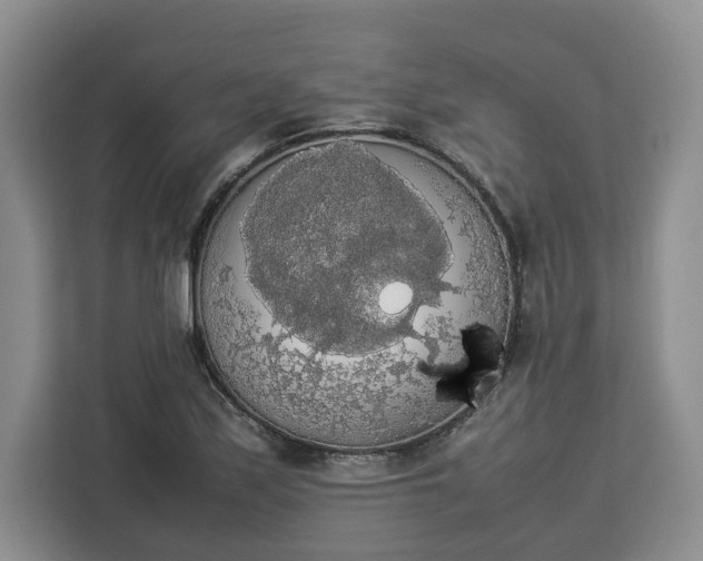 X0000112831171200908281526