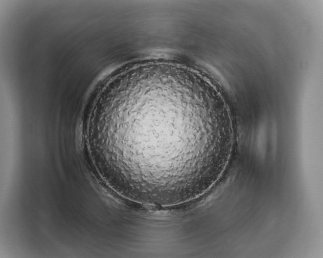 X0000112831172200908281526