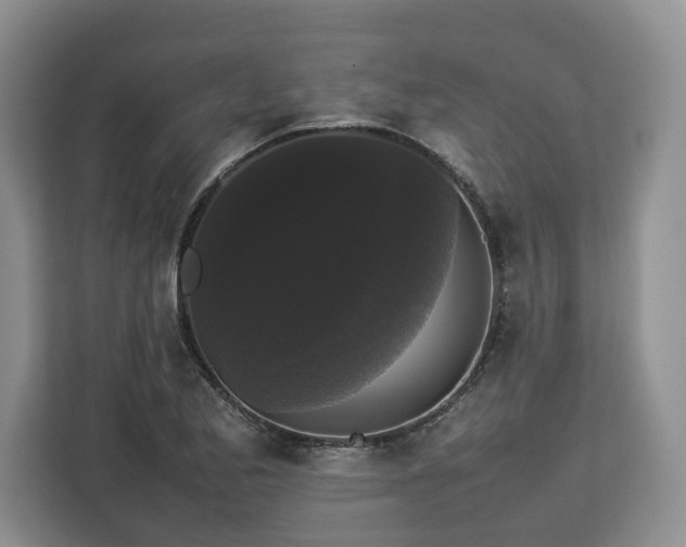 X0000112831173200908281526