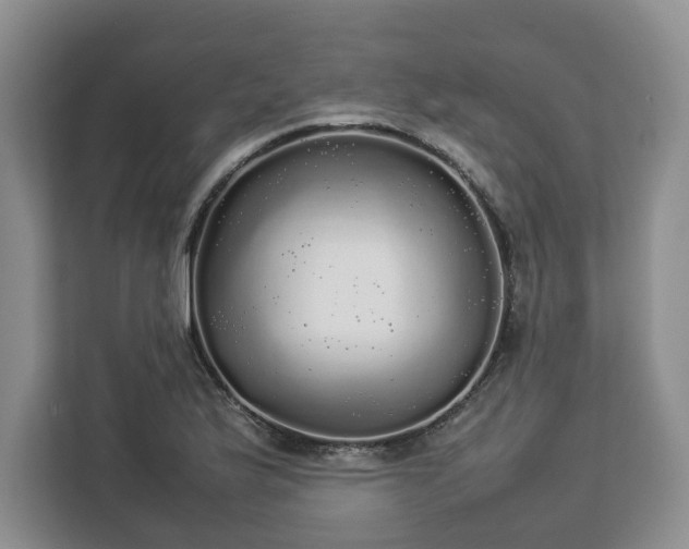 X0000112831175200908281525