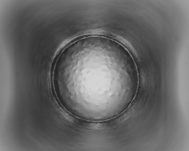 X0000112831176200908281525