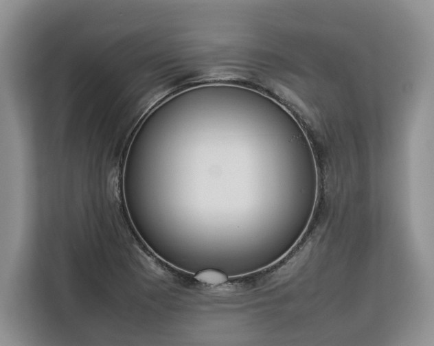 X0000112831177200908281525