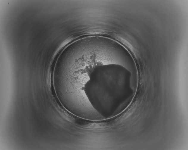 X0000112831179200908281525