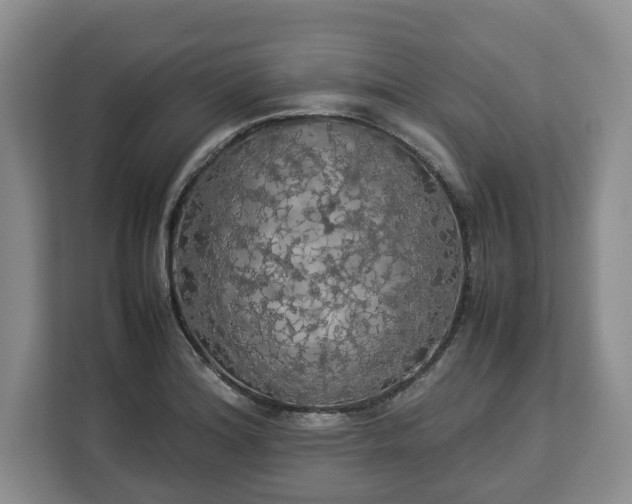 X0000112831180200908281525