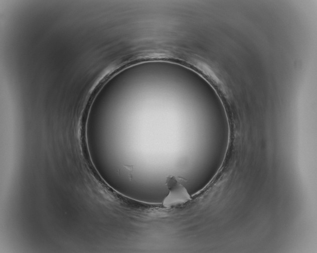 X0000112831181200908281525