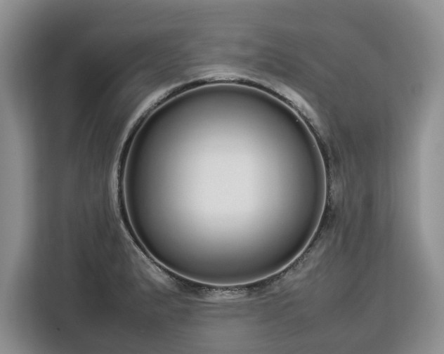 X0000112831183200908281525