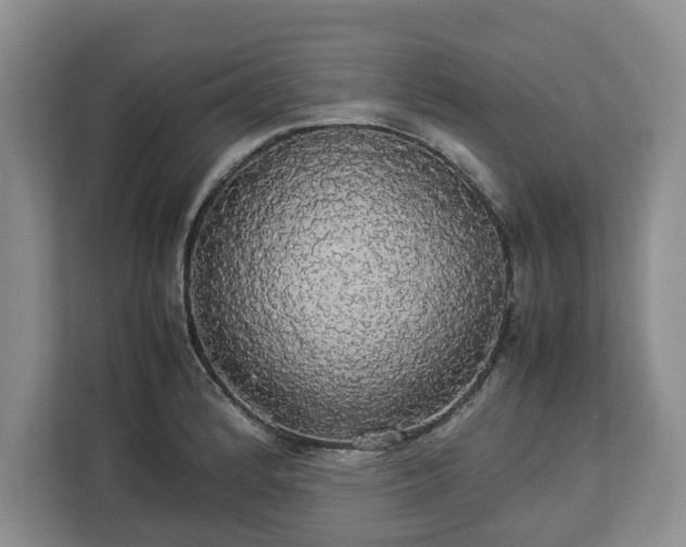 X0000112831184200908281525