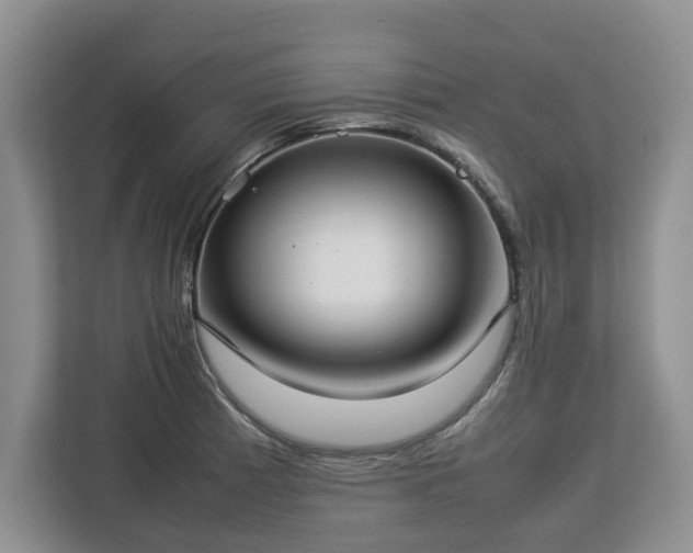 X0000112831185200908281525