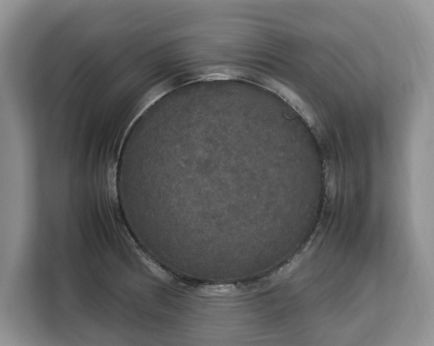 X0000112831186200908281525