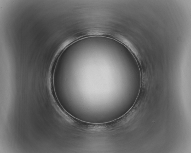 X0000112831187200908281525