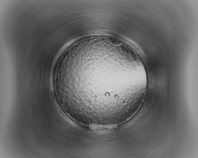 X0000112831188200908281525