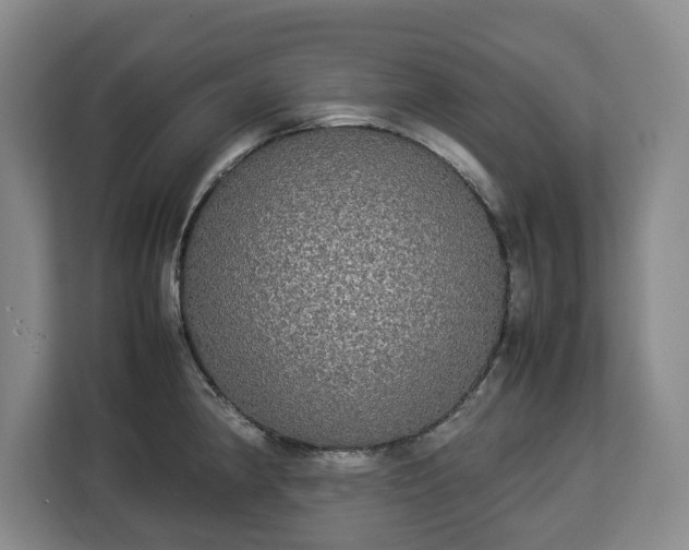 X0000112831190200908281525