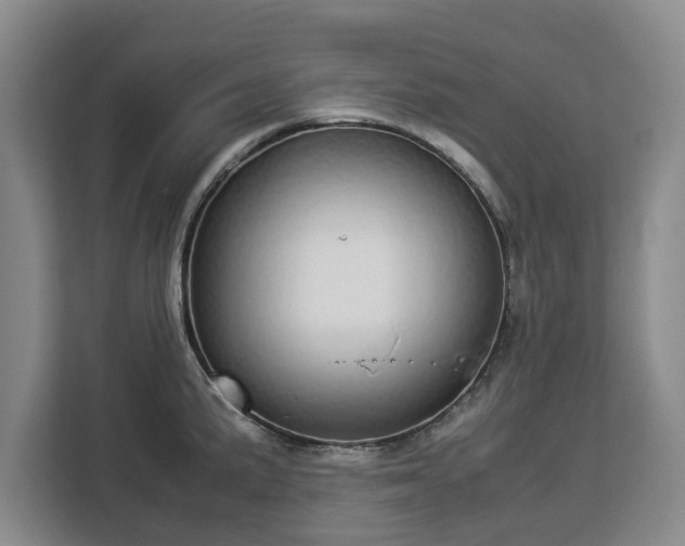 X0000112831191200908281525