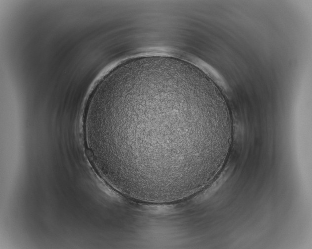 X0000112831192200908281525