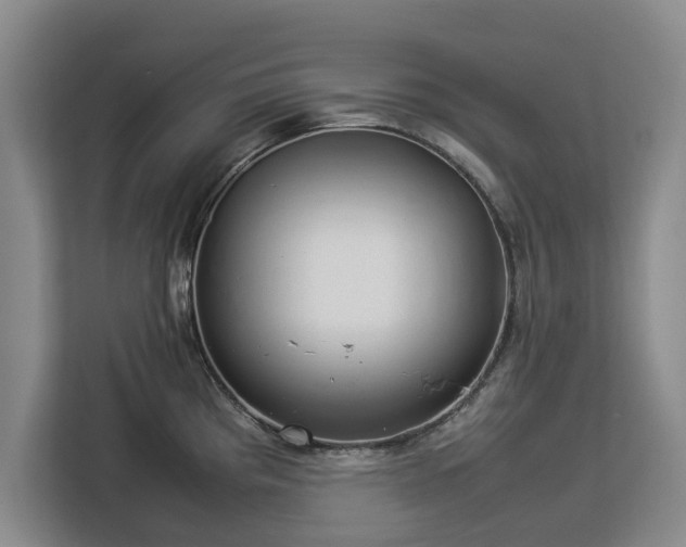 X0000112831193200908281525