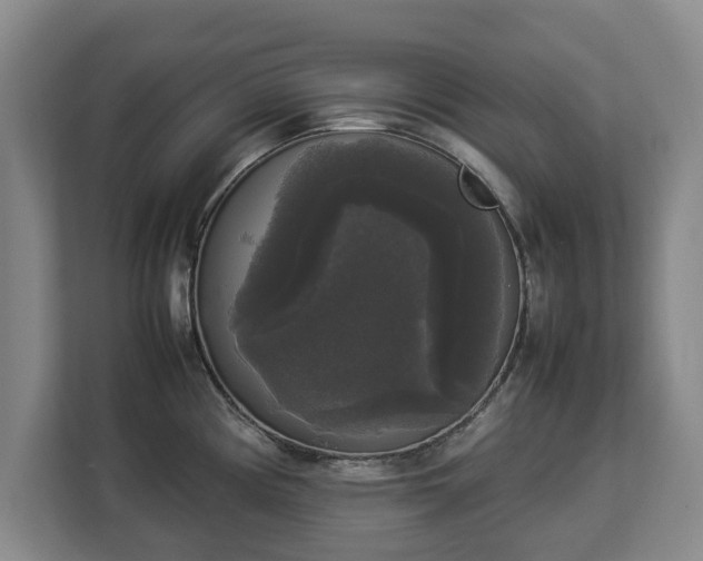 X0000112831194200908281525