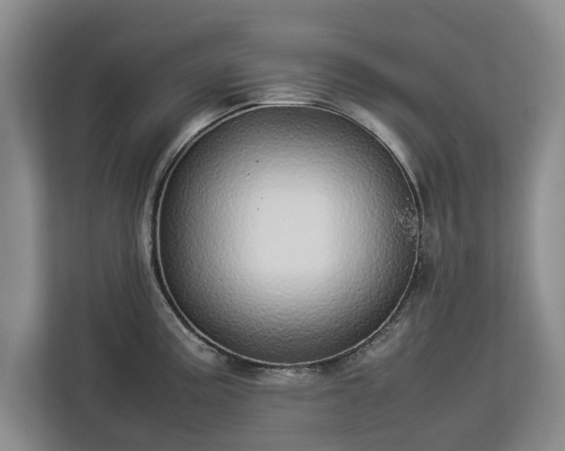 X0000112831195200908281525