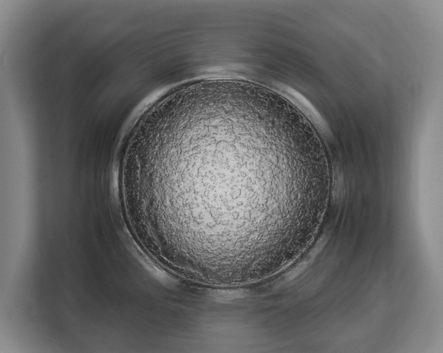 X0000112831196200908281525