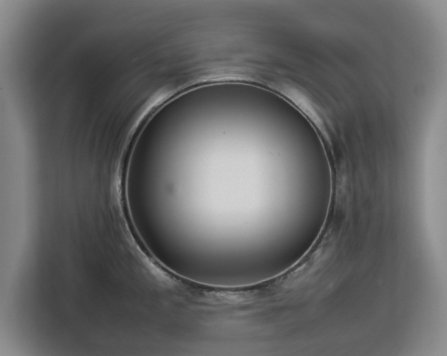 X0000112831197200908281525