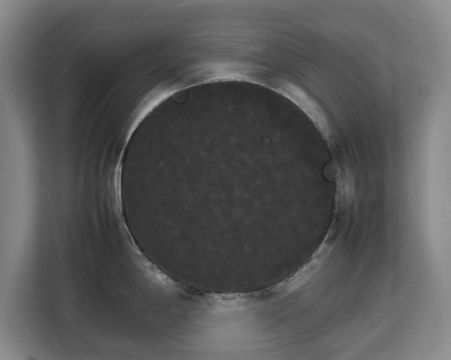 X0000112831198200908281525