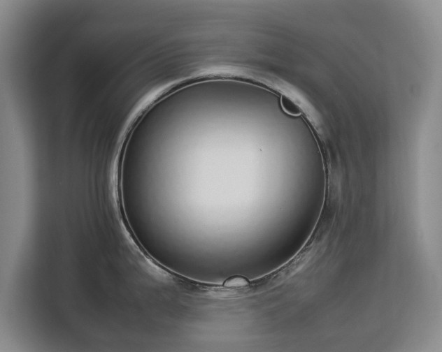 X0000112831199200908281525