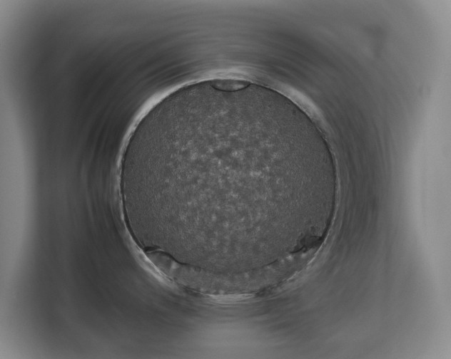 X0000112831200200908281525