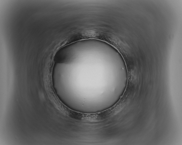 X0000112831201200908281525