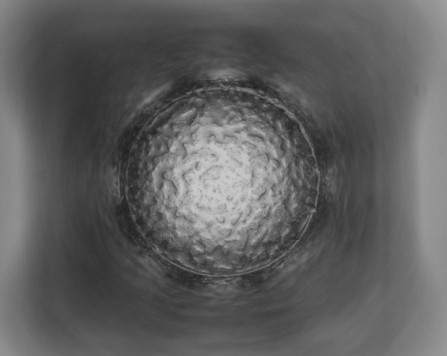 X0000112831205200908281525