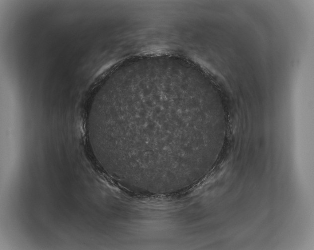 X0000112831206200908281525