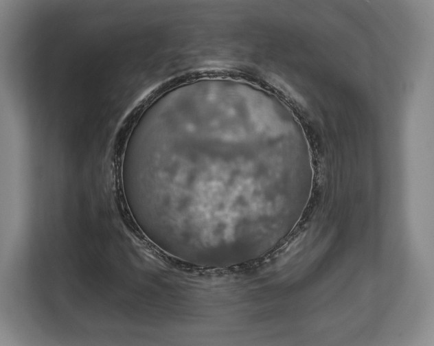 X0000112831208200908281525