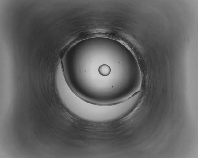 X0000112831209200908281525