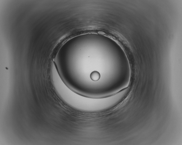 X0000112831210200908281525