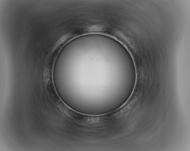 X0000112831211200908281525