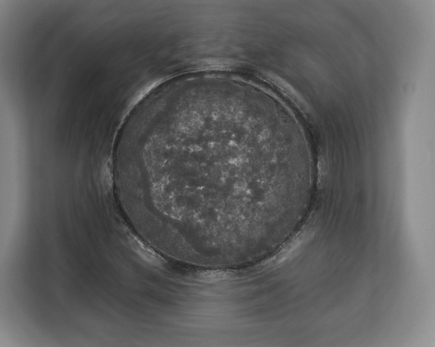 X0000112831212200908281525