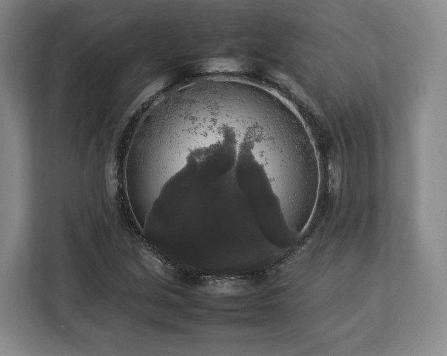 X0000112831213200908281525