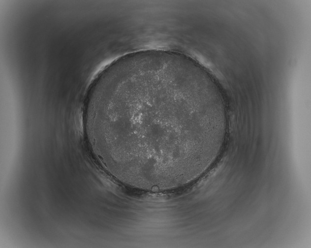 X0000112831214200908281525