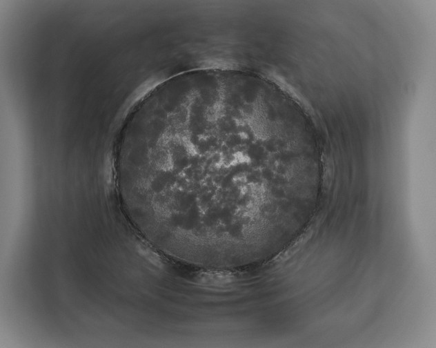 X0000112831215200908281525