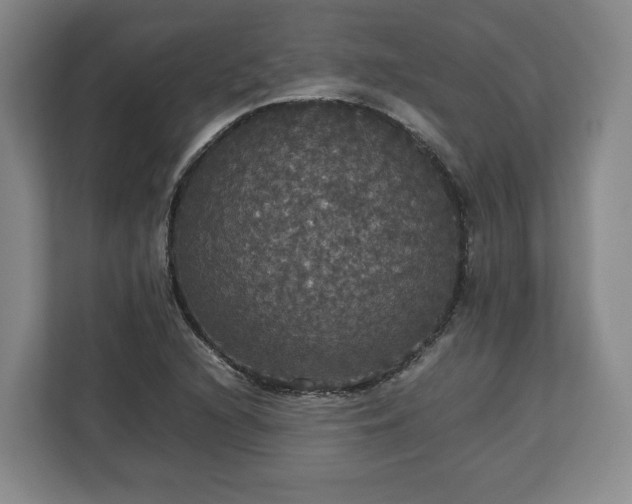 X0000112831216200908281525