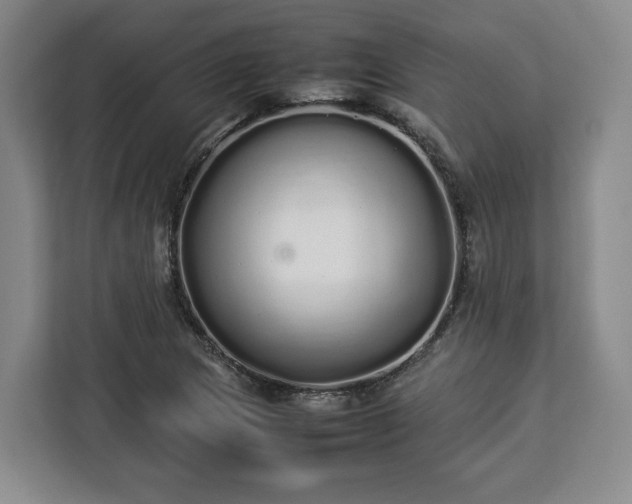 X0000112831217200908281525