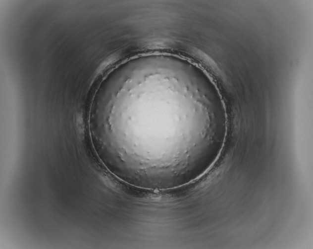 X0000112831218200908281525