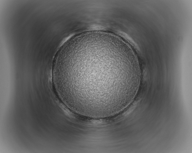 X0000112831220200908281525