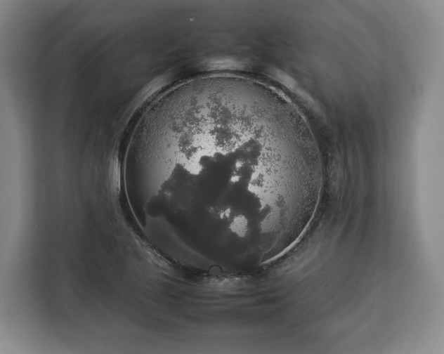 X0000112831221200908281525