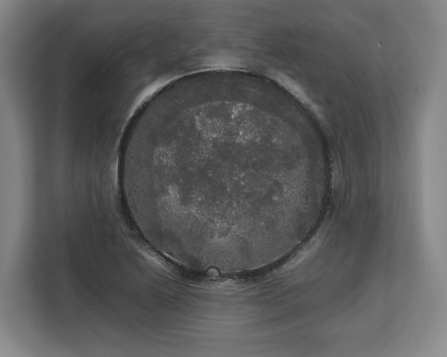 X0000112831222200908281525